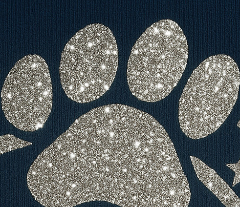 Womans Hoodie Lincoln